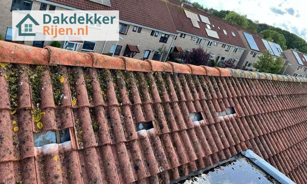 Een dakrenovatie bij oud pannendak in Rijen